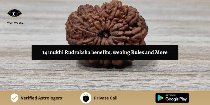https://www.monkvyasa.com/public/assets/monk-vyasa/img/14 mukhi Rudraksha benefits.webp